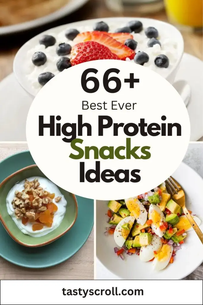 High Protein Snacks Ideas