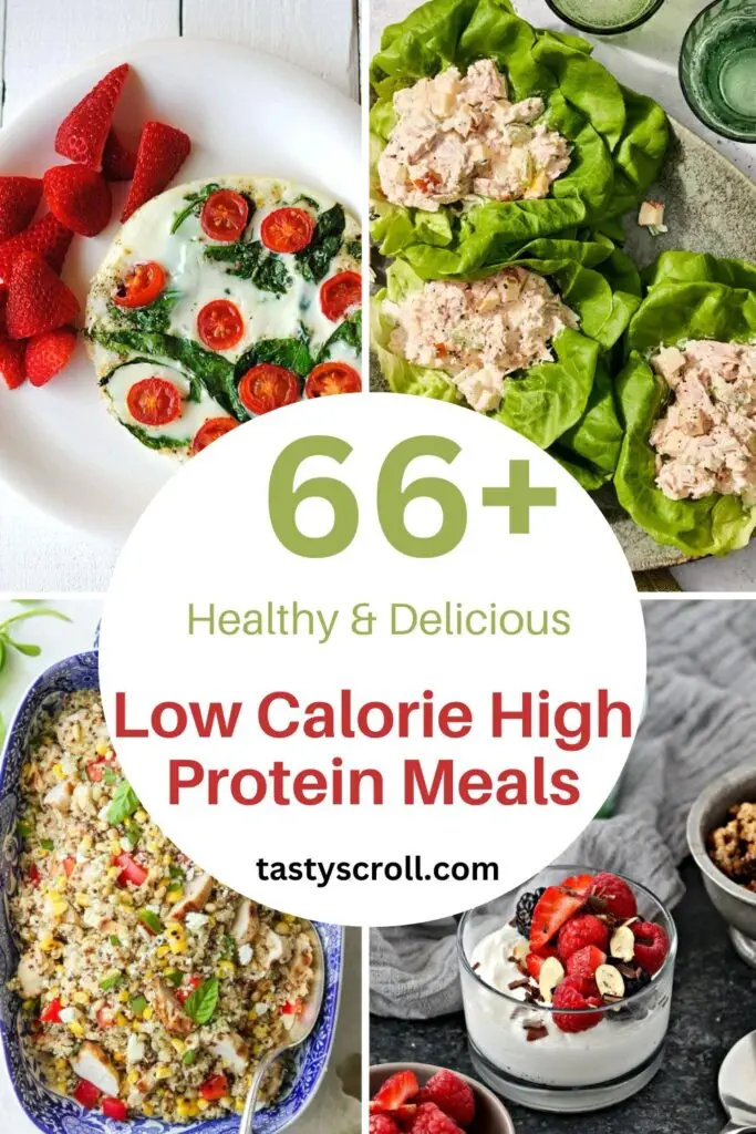 Low Calorie High Protein Meals