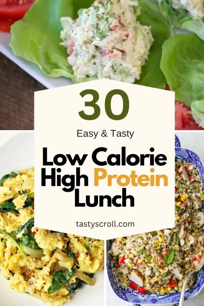 Low Calorie High Protein Lunch